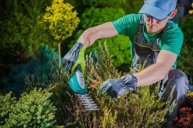 landscaping services State Line